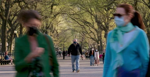 The Mall Central Park Timelapse Stock Footage 151935439
