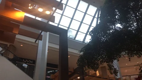 Mall  Stock Footage 102129759