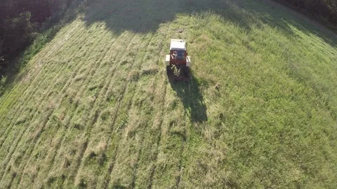 Mall retro tractor cut  grass from summer meadow, aerial view Stock-Footage 79813663