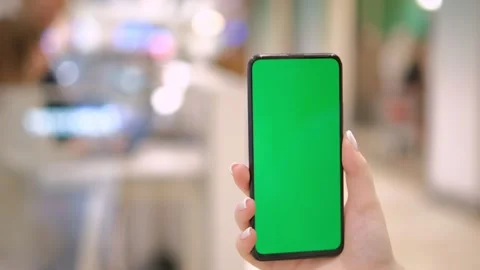 Mall. Shopping center. Back view of brunette holding chroma key green screen Stock Footage 275523725