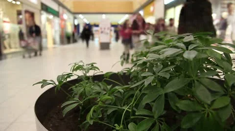 Mall16 库存影片 10564837