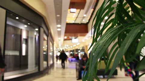 Mall44 Video stock 10719751