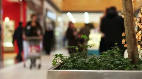 Mall8 Stock Footage 10442315