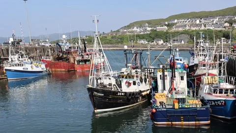 Mallaig Harbour 库存影片 341110850