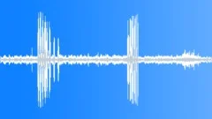 Mallard Calls London ZooSound Effect