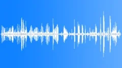 Mallard CU Calls Sound Effect
