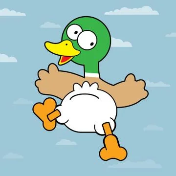 Mallard Duck Stock Illustration