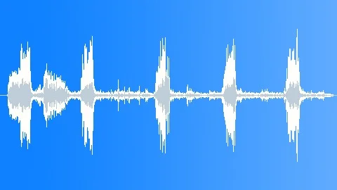 Mallard Duck Squawk Sound Effect