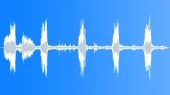 Mallard Duck SquawkSound Effect