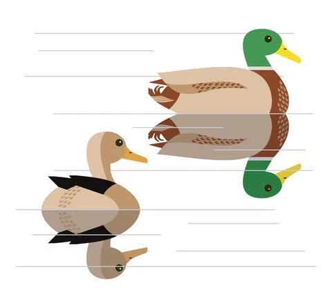 Mallard ducks couple simple flat color vector icon Stock Illustration