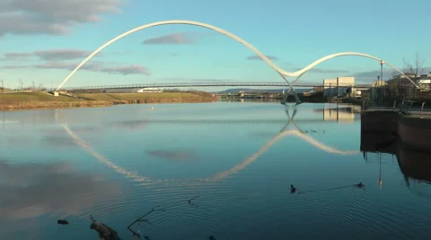 Mallard Ducks swimming, pan up to Infinity Bridge  reflected in river Stock Footage 1058697