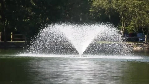 Mallard Pair in Slow Motion Stock Footage 135036661