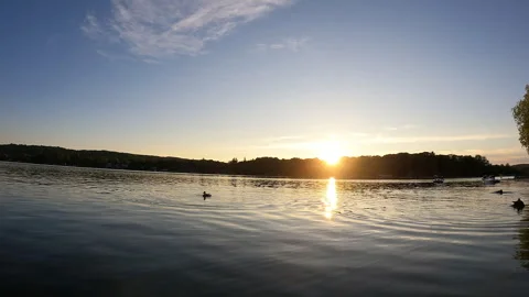 MALLARDS (DUCKS) LANDING ON LAKE Stock Footage 290406801