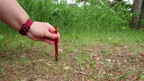 A Mallet Hammers in a Lightweight Tent Peg Stock Footage 196903324