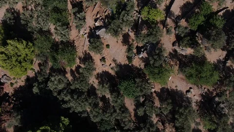 Mallorca 16 / Sóller Vidéo 125443948