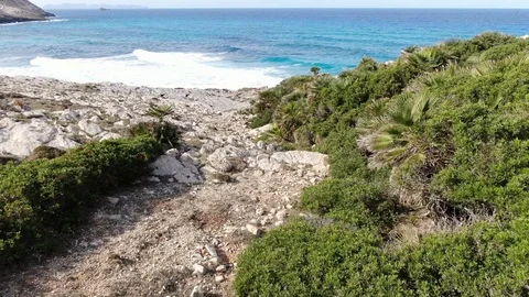 Mallorca 36 / Cala Mesquida Vidéo 125444347