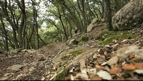 Mallorca 4 _1 库存影片 11422149