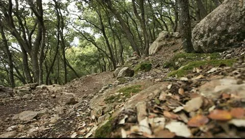 Mallorca 4 _2 Stock Footage 11422143