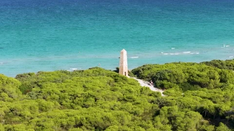 Mallorca Majorca Balearic Islands Stock Footage 311828554