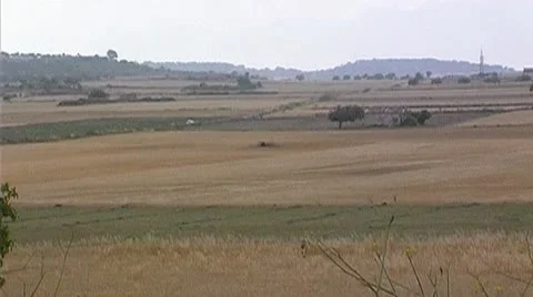 Mallorca nature Stock Footage 9959079