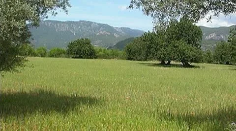 Mallorca nature Stock Footage 9962906
