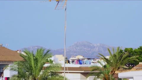 Mallorca Spain no people palm tree houses mountains blue sky laundry calm static Stock Footage 279590341