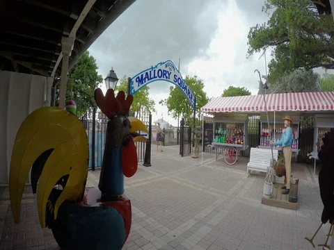 Mallory Square shopping in Key West The Florida Keys Stock Footage 80470720