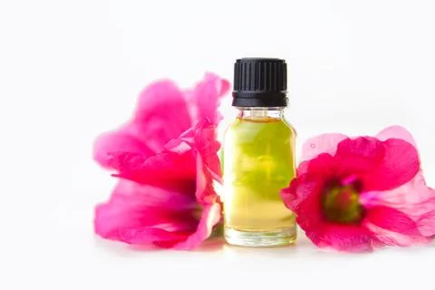 Mallow essential oil in  beautiful bottle on White background Stock Photos