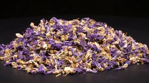 Mallow Stock Footage 331282935