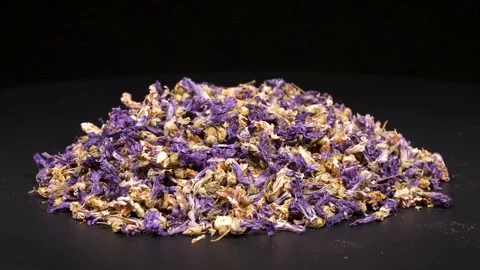 Mallow Stock Footage 332844279