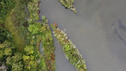 Mallows Bay 3 動画素材 142095875