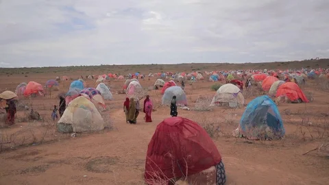 Malnourished kids crowd hospital as Ethi... | Stock Video | Pond5