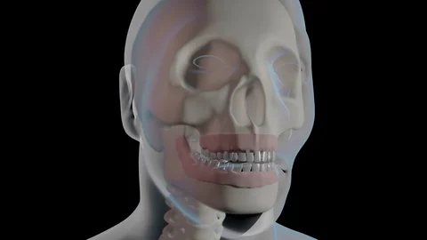 Malocclusion With Overbite Stock Footage 122123991