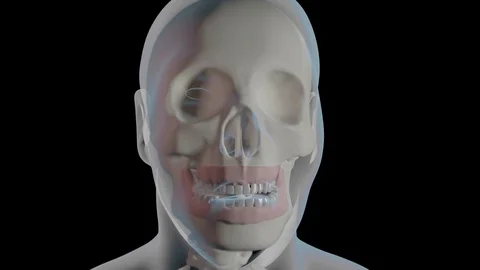 Malocclusion With Underbite 스톡 동영상 122124524