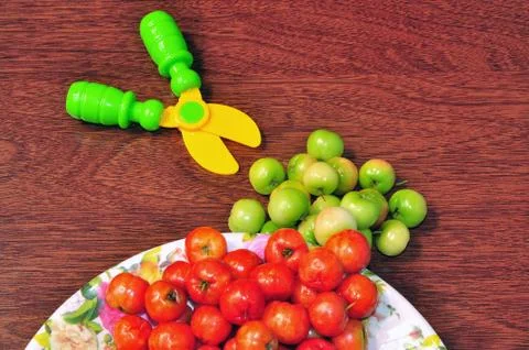 Malpighia fruit Stock Photos