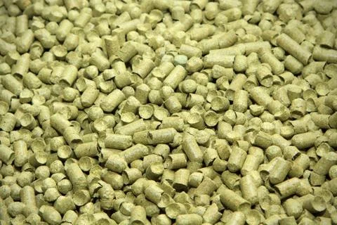Malt background. Ingredient for beer. Stock Photos