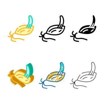 Malt barley color variations icon vector Stock Illustration