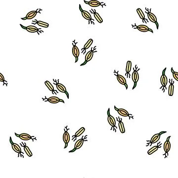 Malt barley vector seamless pattern Stock Illustration