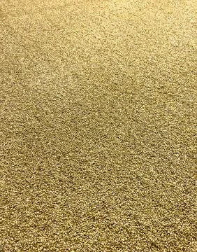 Malt in a brewery as a background. Stock Photos