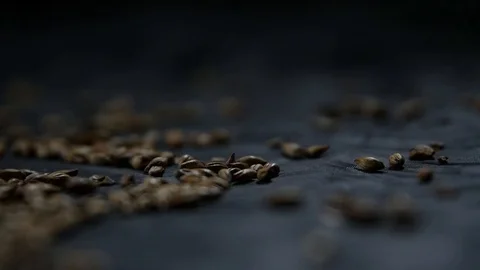 Malt. dark malt falls on the board. Video stock 107168016