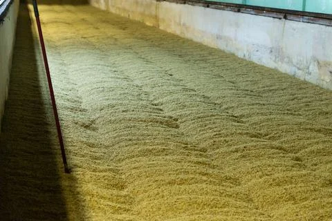 Malt germination cellar Stock Photos