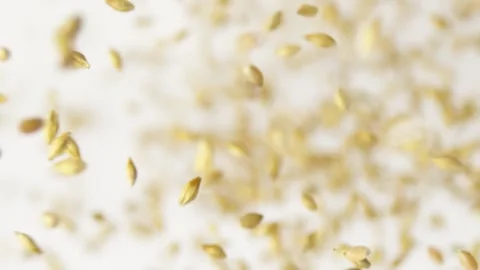 Malt grains fly up on the white background slow motion, slow motion food Video stock 148553688