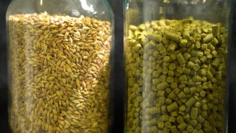 Malt, hops and water. Everything for brewing beer. Stock Footage 129532855