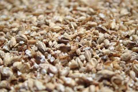 Malt Stock Photos