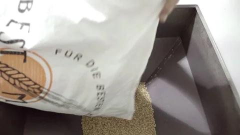 Malt process at Beer Factory Stock-Footage 72256254