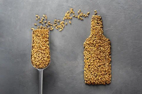 Malt scoops with different roasting on a concrete background. 写真素材
