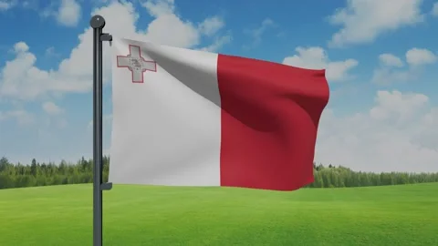 Malta Flag Stock Footage 153254802
