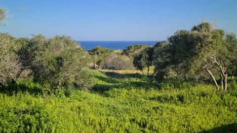 Malta - Mellieha views Stock Footage 168912554
