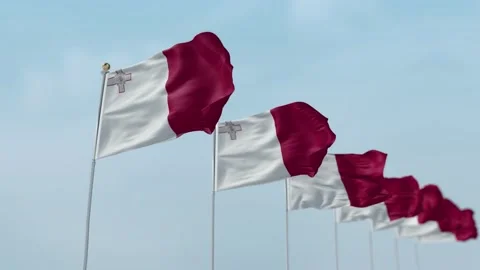 Malta Row Of Flags Animation Stock-Footage 136220303