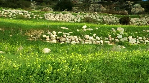 Malta, springtime Video stock 59755193